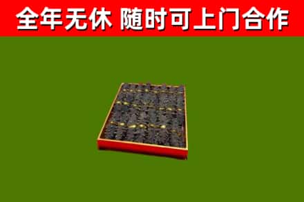 镇原县回收海参